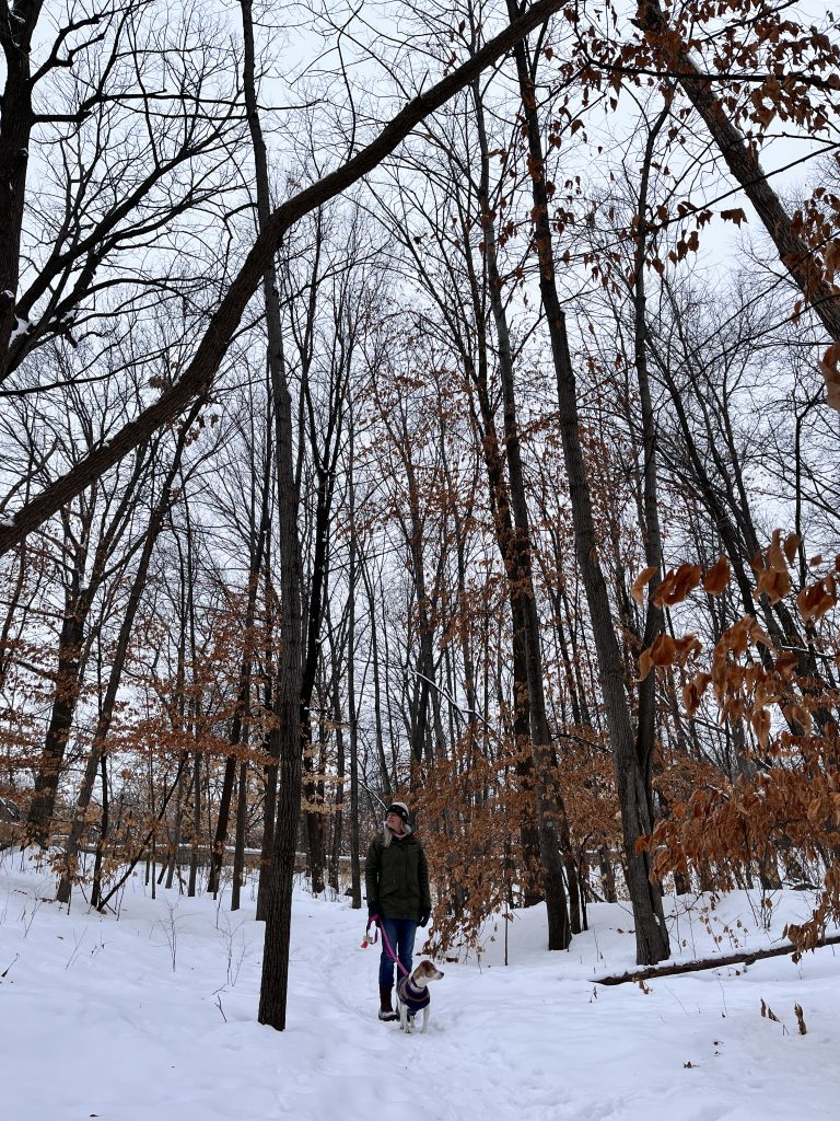 bare trees, snow, a person in a green jacket with a small white dog in a cute sweater