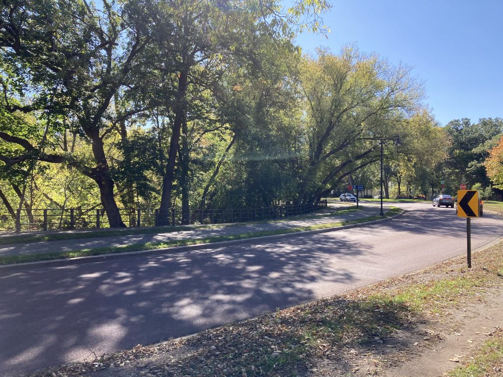 A road with tree shadows on it. Behind it, a split rail fence and some golden trees. Beyond it, but not pictured, is a ravine with a black wrought-iron fence and a metal slat walkway that I carefully ran over a few minutes before taking the picture. In the upper right corner, there is a yellow sign indicating a sharp curve. There are also 2 cars in the distance. When I was taking this picture, I only saw general forms: shadows trunks leaves road sky. 