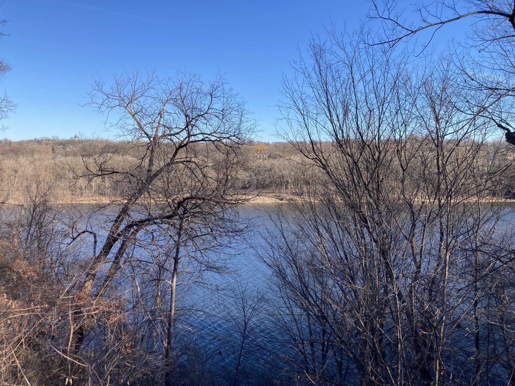 A view of the mississippi river. The top third of the image is just BLUE!--a beautiful blue sky. Below the blue is mostly the light brown of the east bank, then the whiteish-tan of the sandy shore. On the edge between the blue sky and brown branches in the left corner is the tower at Prospect Park--the Witch's Hat, which is called that because it looks like a witch's hat. After the brown of the shoreline, more BLUE!--the river. And, in front of all this, closest to the camera, are a few bare branches. When I look at this picture, I mostly see and think, BLUE! then sandy white then witch's hat.