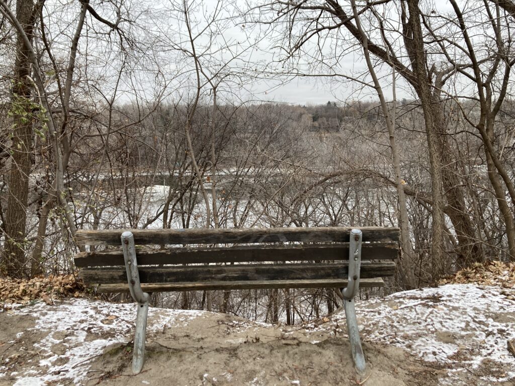 the back of a wooden bench, all around it a faint trace of snow and bare branches