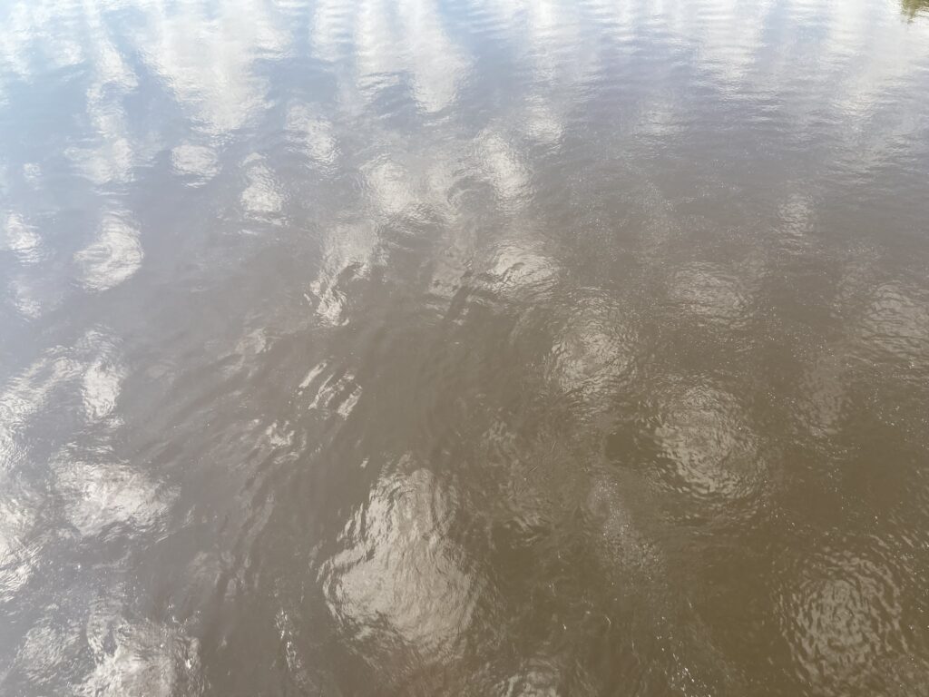 a view from above the river: gray, corrugated water with reflections of clouds and trees