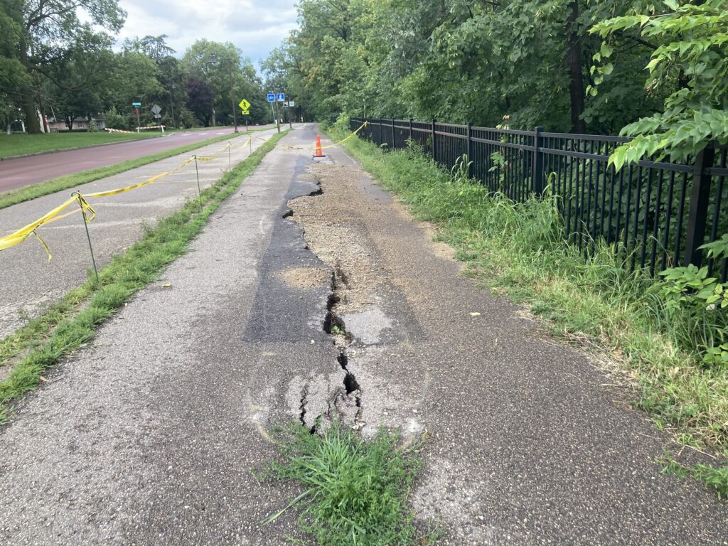 a crack in the paved path  is growing grass. It stretches towards an orange cone.