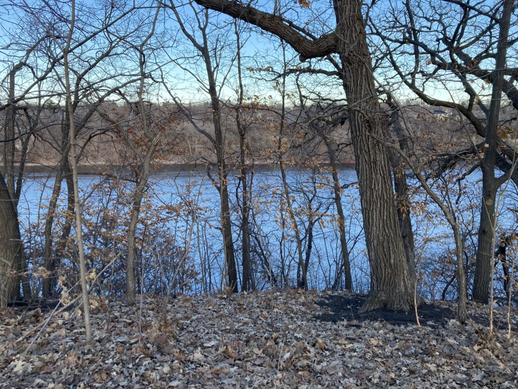 the very blue river with some bare branches on the bluff softening my view