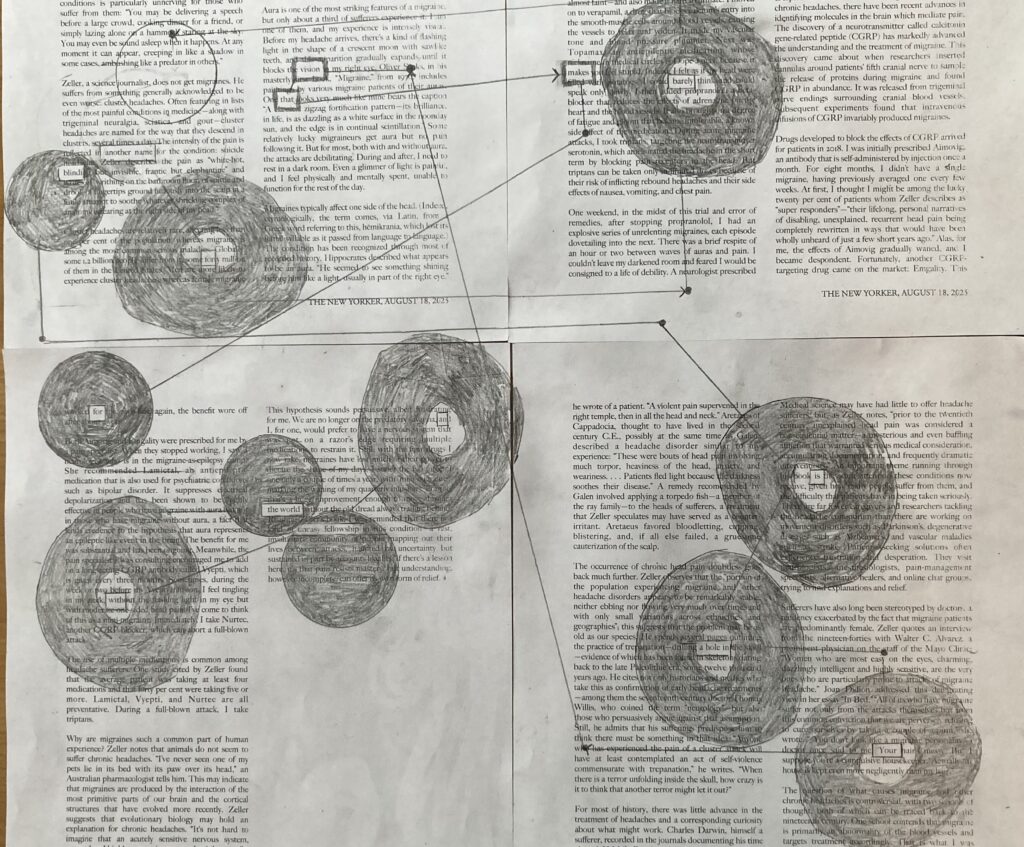 Four sheets of text taped together. Several circles are sketched over the text. Each ciricle has a hole in the center, revealing a word or pharse of my hole poem. Some of the circles are the shape of my blind spot, some are just circles