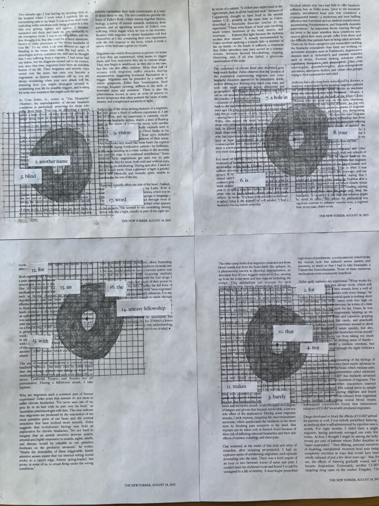 text with 4 grids, each containing a dark blob (my blind spot) and the words: another name for barely not blind is a hole in your vision that makes for an uneasy fellowship with the word.