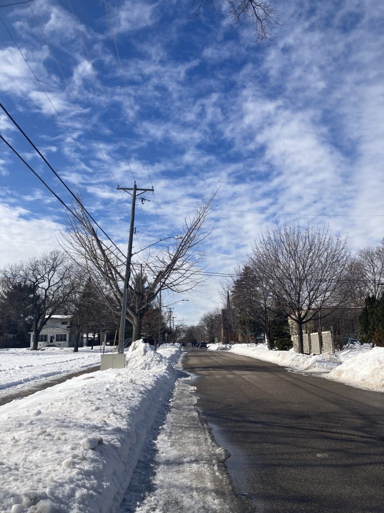 city street with a tree on the left side with a pole growing through it